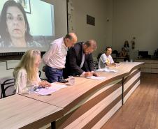 Reunião descentralizada do COEDE