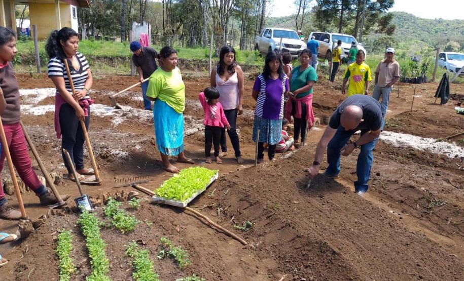 Renda Nossa Gente Paraná